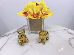 -MIVI野生眉纹绣纹眉