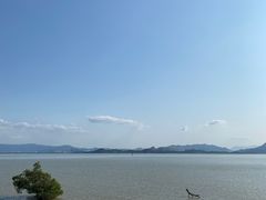 -深圳湾公园(南山区)