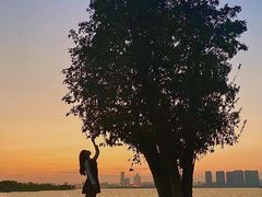 -瑶湖郊野森林公园