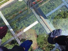 -九龙江国家森林公园