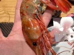-虹料理·日料放题(悠方店)