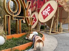 -上海长风大悦城