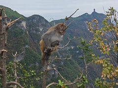 -重庆云阳龙缸景区