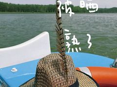 -野鸭湖国家湿地公园