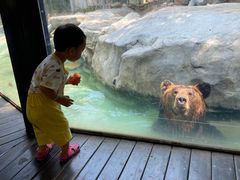-灵玲国际马戏城