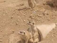 -秦皇岛野生动物园