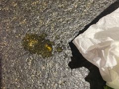 -椒王火锅(厚街万达店)