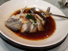-樱苑(四川北路店)