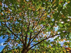 -磐安舞龙峡景区