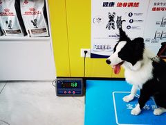 -瑞派·爱瑞可动物医院·口腔专科(广华新城分院)