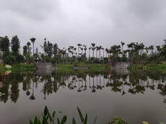 -枫香湖儿童公园