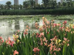 -琅岐红光湖公园