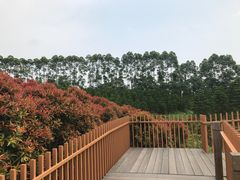 -迪茵湖田家舍生态农场