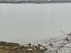 -艾溪湖湿地公园