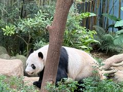 -新加坡海洋生态馆