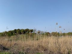 -滆湖低碳生态公园