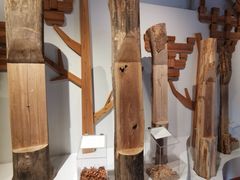 -宁波市保国寺古建筑博物馆