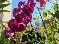 -云之南(八里庄店)