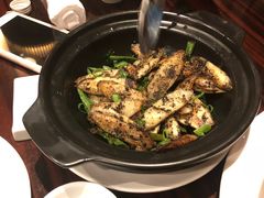 -新天世纪中餐厅