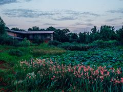 -白鹭湾湿地公园