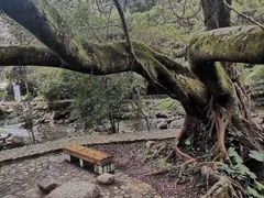 -广州市石门国家森林公园