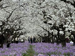 -江苏三台山国家森林公园