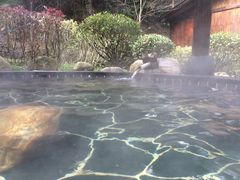 -明月山天沐温泉度假村