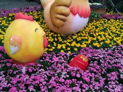 -广州市流溪河国家森林公园