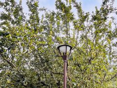 -元大都城垣遗址公园