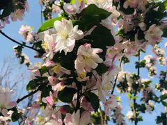 -永定河休闲森林公园