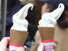 -富豪雪糕车流动点(尖沙咀)