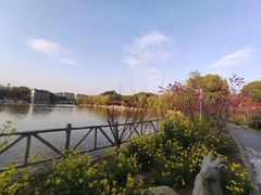 -南汇桃花村