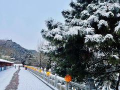 -八大处公园