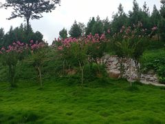-花洲书院