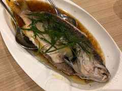 -Isla Sugbu Seafood City