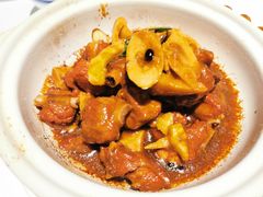 -禧宴Joyous Restaurant(禧园店)