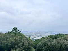 -灵岩山风景区