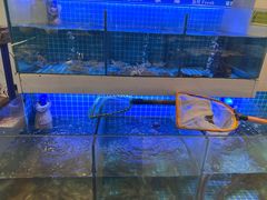 -鹅香四海·卤水火锅·砂锅粥·潮汕菜(宝安店)
