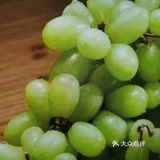       葡萄 提子  你会去 更钟爱哪