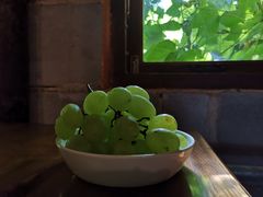 -斯多格书乡(北京大学畅春园店)