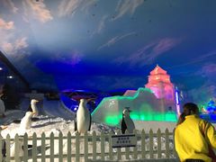 -世界之窗阿尔卑斯冰雪世界