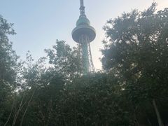 -青岛电视塔