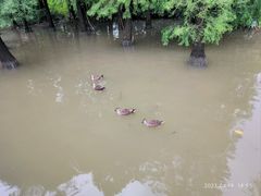 -海珠湖公园