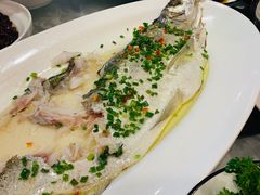 -广玉兰上海菜(德平店)