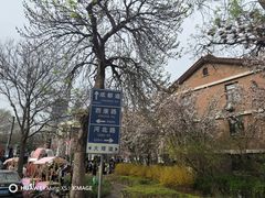 -天津五大道文化旅游区