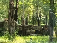 -秦皇岛野生动物园