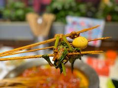 -钢管厂五区小郡肝火锅串串香(总店)