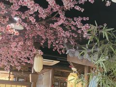 -老平安农家菜(平安店)