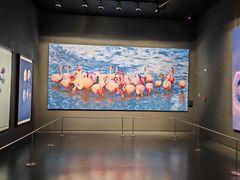 -罗红摄影艺术馆