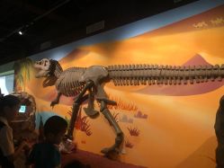 -北京科学中心儿童乐园